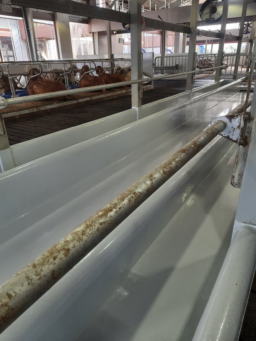 Food Grade Epoxy Flooring 